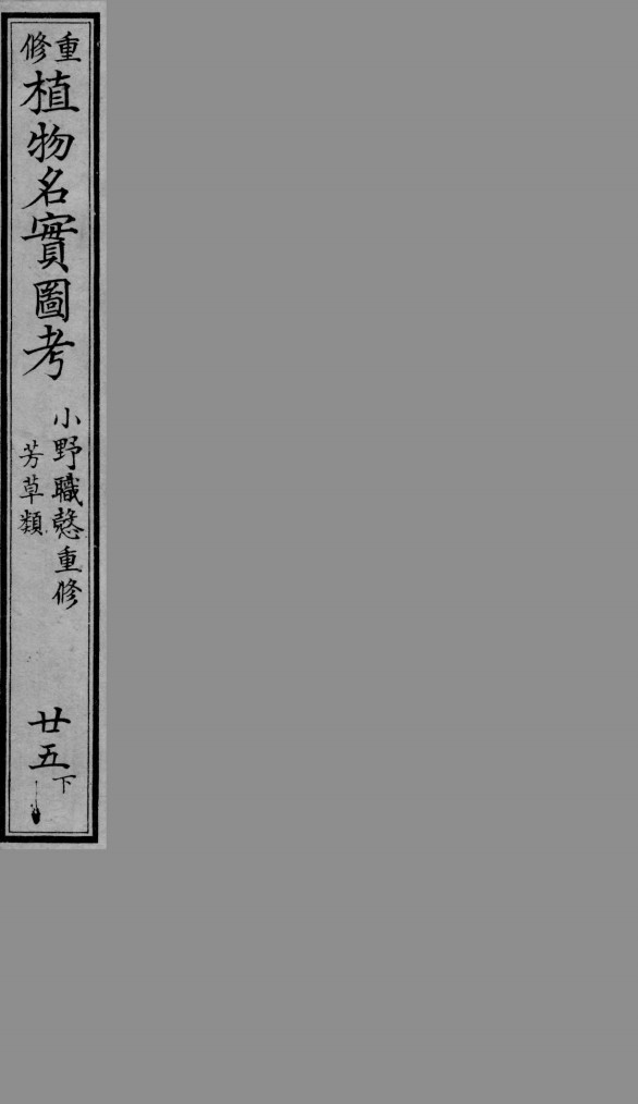 植物名实图考  25  下